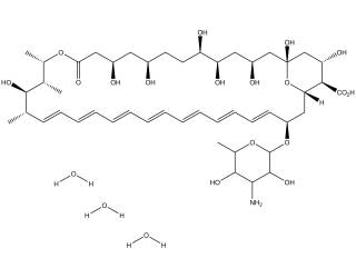 Amphotericin B trihydrate
